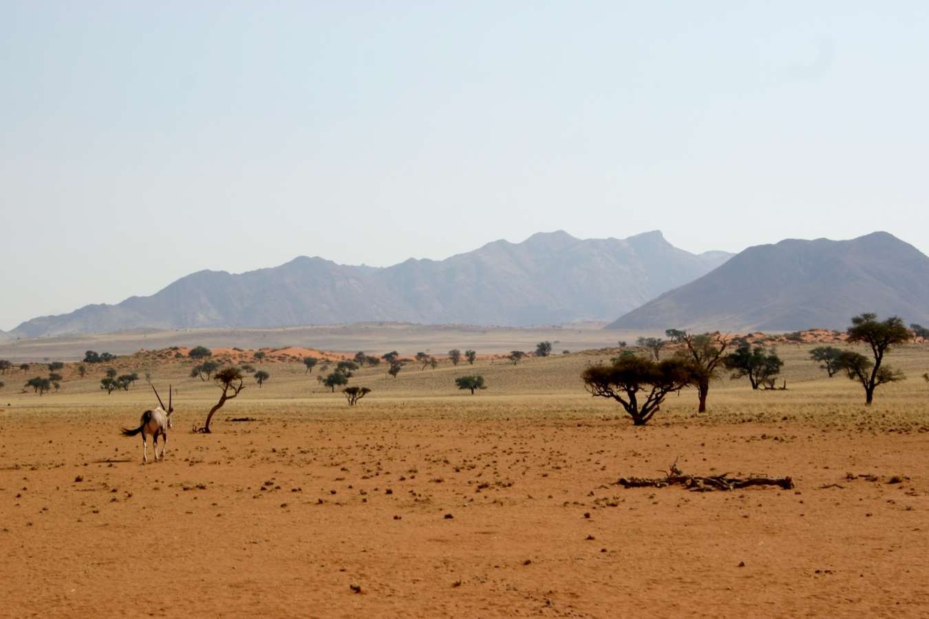 Southern Namibia, Africa